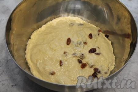 Вмесить изюм в тесто. Накрыть миску с тестом полотенцем и убрать в тепло на 1,5 часа.