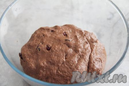 А затем вымесить шоколадное тесто руками, всыпая по мере необходимости муку. Добавляя муку, учитывайте, что тесто для этого кулича должно получиться мягким, нежным, слегка липнущим. В замешанное тесто добавить вяленую вишню и тщательно вмешать её. Миску с шоколадным тестом с вишней прикрыть полотенцем и на 1,5 часа поставить в тёплое место без сквозняков. За это время тесто хорошо округлится и увеличится в объёме раза в 2.