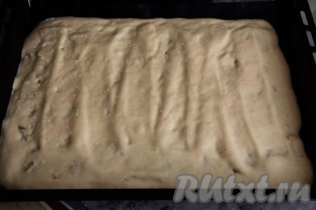 Добавляя частями муку, ориентируйтесь не на количество муки, указанное в ингредиентах, а на консистенцию бисквитного теста, оно должно получиться очень воздушным и однородным. Аккуратно выложить тесто поверх яблок, разровнять и поставить в разогретую духовку.