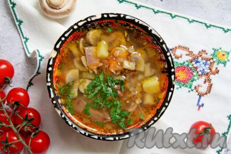 Теперь можно разливать гречневый суп с грибами и курицей&nbsp;по тарелкам и наслаждаться этим вкусным, ароматным и насыщенным первым блюдом. Я при подаче дополнила суп нарезанной свежей зеленью.