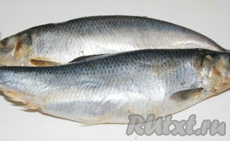 Приготовить свежую селедку.