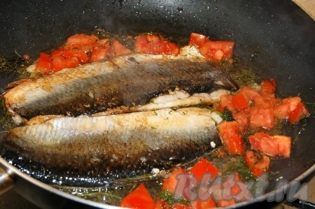 Селедку также разделать на филе, посолить, также раскалить сковородку с маслами. Выложить селедку на сковороду, и сразу же добавить к ней нарезанный мелко укроп и нарезанные небольшими кубиками помидоры.