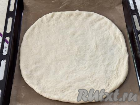 Раскатать большую часть теста на присыпанной мукой поверхности в круг диаметром 30 сантиметров. Выложить раскатанное тесто на противень, застеленный ковриком (или бумагой) для выпечки.&nbsp;