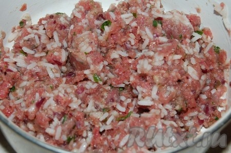 Для приготовления фарша пропустить мясо через мясорубку вместе с зеленью, добавить мелко нарезанный репчатый лук и сваренный до полуготовности, промытый под холодной водой рис. Фарш перемешать, посолить, поперчить по вкусу.