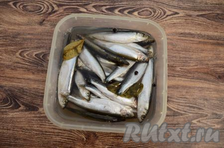 Залить рыбу остывшим рассолом.