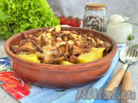 Готовое блюдо достать из духовки. Картофель в процессе запекания пропитывается сметаной и ароматами грибов. Разложить картошку с лисичками по тарелкам и в горячем виде подать вкусное, аппетитное, ароматное и сытное блюдо к столу.