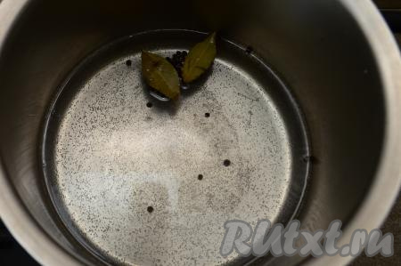 В кастрюлю со специями влить 1 литр воды, перемешать, поставить на сильный огонь, дать закипеть.