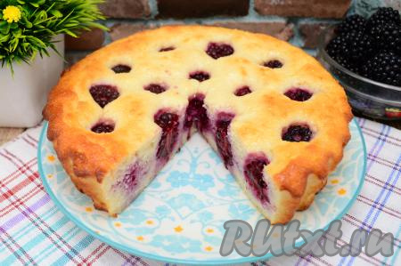 Слегка остывшую творожную запеканку нарезать на кусочки и можно наслаждаться её нежнейшим вкусом с приятным ароматом ягод ежевики.