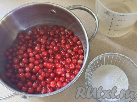 Выложить подготовленную смородину в кастрюлю, влить 150 миллилитров воды, поставить на достаточно сильный огонь. Агар-агар всыпать в небольшую ёмкость, залить 50 миллилитрами воды комнатной температуры, перемешать и оставить на время, пока мы будем заниматься ягодами.