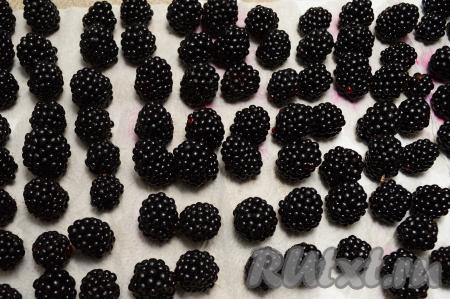 Выложить ежевику в сито (или дуршлаг), аккуратно промыть под проточной водой, лишней воде дать стечь. Я обычно промываю ежевику небольшими партиями, чтобы не помять ягоды. Вымытые ягоды по одной выложить на бумажное (или тканевое полотенце). Я обычно выкладываю ежевику на бумажные полотенца, сложенные в два слоя. Оставить ягоды минут на 20-30, чтобы они обсохли. На обсохших ягода в процессе заморозки не будет образовываться наледь, а значит, например, в выпечку, такую ежевику можно добавлять, не размораживая.