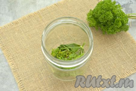 Лист хрена, петрушку, зонтики укропа моем. Чеснок очищаем. В каждую простерилизованную банку выкладываем половину листа хрена, зонтик укропа, веточку петрушки.