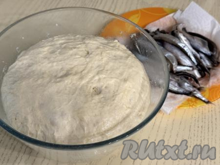 По прошествии часа тесто у меня хорошо поднялось и увеличилось в объёме.&nbsp;