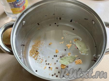 Взять достаточно объёмную кастрюлю (в дальнейшем в эту кастрюлю должны поместиться все нарезанные огурцы), влить в неё 800 миллилитров воды, добавить соль, сахар, горчицу, лавровые листья, смесь перцев и уксус, перемешать.&nbsp;