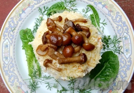 Аккуратно снять кольцо, вокруг разбросать немного зелени для украшения и наш салат слоями с курицей готов.