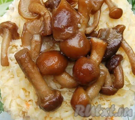 Следующий слой состоит из тертого сыра, а завершает наш салат слой грибов.

