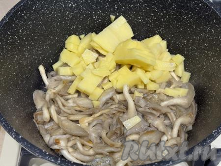 К грибам, обжаренным с луком, добавить картошку, нарезанную на кубики. Если вы обжаривали вешенки с грибами в сковороде, тогда вначале переложите их в кастрюлю, а затем добавьте нарезанный картофель.