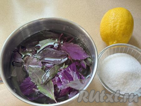 Первым делом приготовим отвар из базилика. Для этого в сотейник (или небольшую кастрюлю) нужно выложить листья базилика, влить 500 миллилитров обычной (не газированной) воды.