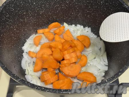 Обжарить лук в течение 5 минут (до прозрачности), иногда помешивая, на среднем огне. Морковь нарезать на полукружочки, добавить к луку, перемешать, обжаривать 5 минут, время от времени помешивая.