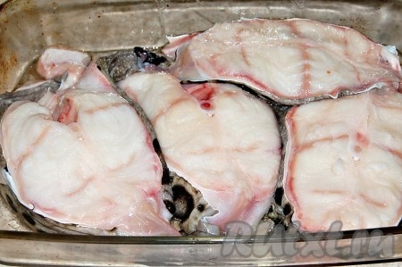 Взять форму, налить в нее  растительное масло, уложить стейки зубатки.