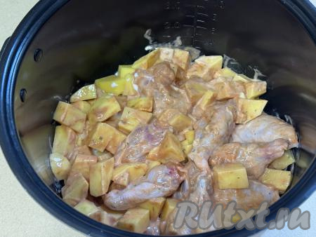 Чашу мультиварки немного смазать растительным маслом. Выложить картошку с куриными крылышками в чашу мультиварки, крышку закрыть. Выставить режим "Тушение" на 1 час.