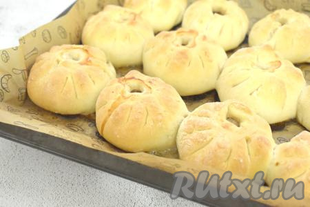 После расстойки противень с беляшами с куриным фаршем ставим в духовку, разогретую до 180 градусов, выпекаем минут 40-45 (до подрумянивания дрожжевого теста).