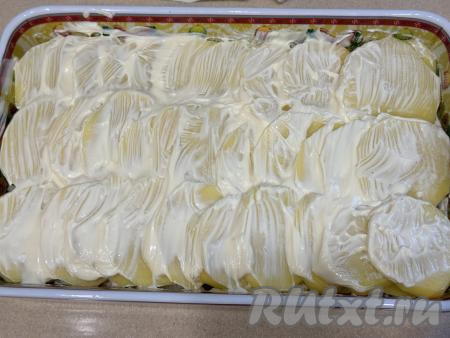 Слегка посолить картошку и смазать майонезом.&nbsp;