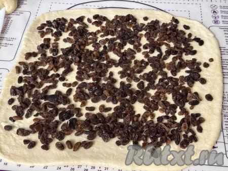 Выложить обсушенный изюм на пласт теста, отступая от краёв теста по 2 сантиметра.