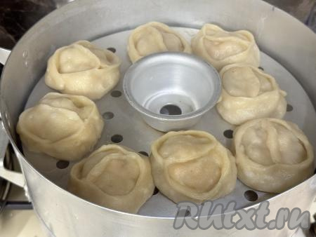 В чашу мантоварки влить воду, довести до кипения. Как только вода закипит, установить поддоны с мантами в мантоварку. Готовить манты с курицей и тыквой на пару на умеренном огне 45 минут.&nbsp;