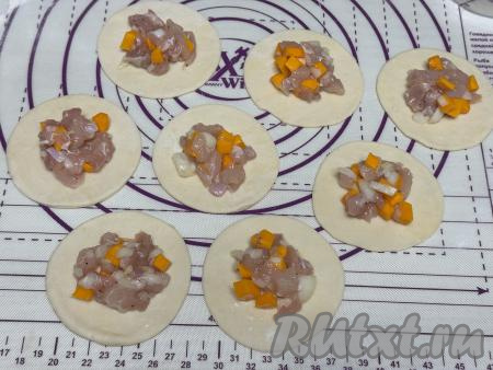 В центр каждого кружка из теста выложить по 2 чайных ложки начинки из тыквы и мяса курицы.&nbsp;