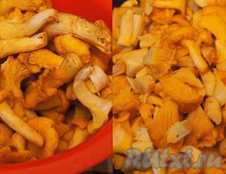 Лисички тщательно промыть, почистить и нарезать на небольшие кусочки.