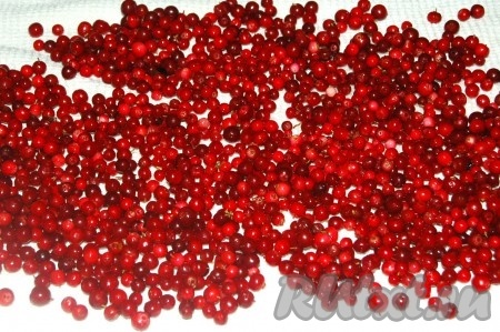 Затем переложить бруснику на чистое сухое полотенце, чтобы ягода окончательно стала сухой.