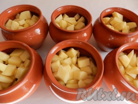 Картофель очистить и нарезать небольшими кубиками. Разложить картофель поверх мяса. В каждый горшочек добавить немного воды (примерно на 1/3) и поставить в холодную духовку на 1 час при температуре 190 градусов.