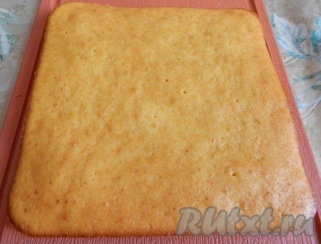 Корж остудить в форме, затем переложить и аналогично приготовить второй корж из оставшегося теста.