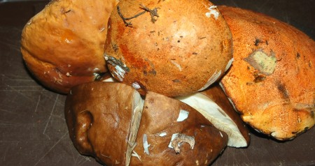 Свежие грибы перебрать и почистить.