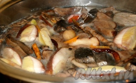 Налить в кастрюлю воду, довести ее до кипения и опустить в кастрюлю морковь, лук порей и репчатый лук. Проварить 5 минут, затем добавить лавровый лист, перец и соль, картофель и свежие грибы, проварить суп 25 минут и выключить огонь. Лавровый лист выкинуть.
