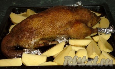 Вокруг утки, фаршированной яблоками, раскладываем дольки картошки. Отправляем в духовку запекаться ещё минут на 50 (картофель должен стать достаточно мягким и легко прокалываться ножом). Утка должна успеть полностью приготовиться (то есть если сделать прокол в районе бедра, из готовой птицы будет выделяться прозрачный сок без примеси крови). Если утка или картошка ещё не будут полностью готовы, тогда увеличьте время приготовления. У меня за указанное время и птица, и картофель были полностью готовы.