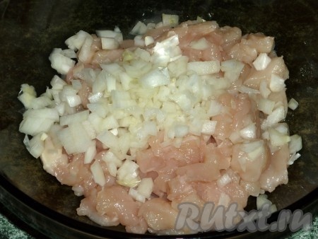 Лук очищаем и нарезаем мелко. Соединяем в миске нарезанные куриное филе и лук.