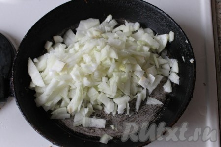 Лук мелко нарезать и обжарить на небольшом количестве масла.