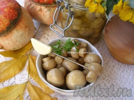 Аппетитные, ароматные шампиньоны, маринованные с яблочным уксусом, станут великолепной самостоятельной закуской или дополнением к различным салатам. Маринуются грибы по этому рецепту достаточно быстро, а получаются очень вкусными, попробуйте!