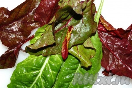 Листовую зелень помыть и слегка обсушить.