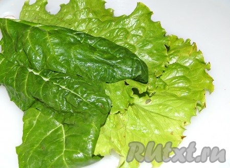 Листья салата вымыть и обсушить.
