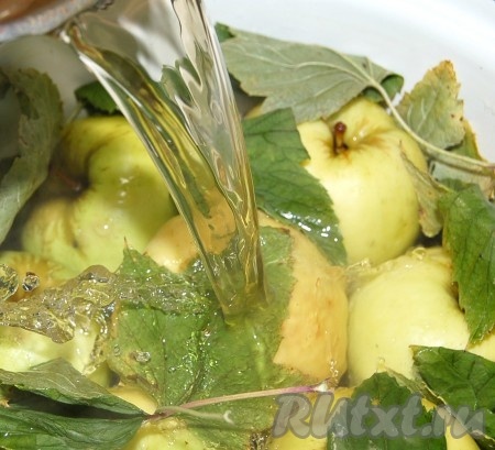 Довести заливку до кипения, снять образующуюся пену (от меда), выключить огонь, остудить немного, минут 15, и горячей заливкой залить яблоки.