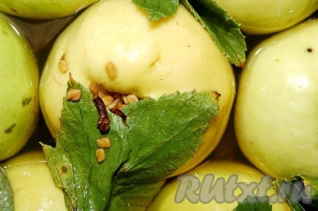 Как приготовить моченые яблоки