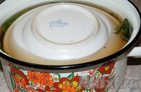 Накрыть яблоки тарелкой, без груза. Здесь важно, чтобы яблоки находились постоянно под заливкой и не всплывали.