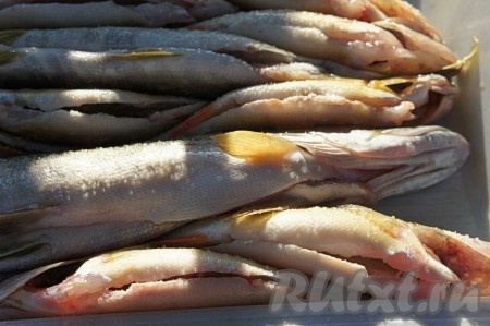 Рыбу выпотрошить, снова промыть, обсушить. Каждую рыбину просыпать крупной солью внутри, выдержать примерно 30 минут брюшком вверх.