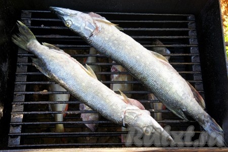 Рыбку поместить в коптильню с ольховыми опилками. У меня на нижнем ярусе коптильни разместился речной окунь, а на верхнем - небольшая щука.
