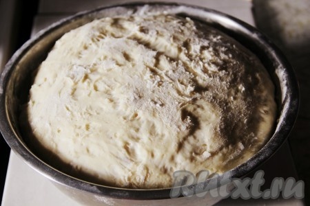  Добавить соли и постепенно всыпать муку. Замесить однородное тесто. Присыпать его мукой, накрыть полотенцем и оставить в тепле на 1.5-2 часа.