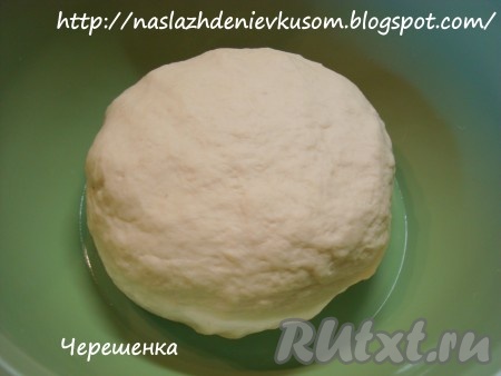 В большую миску вылить подготовленные дрожжи, картофельное пюре и оставшуюся теплую воду (2/3 стакана), посолить и начать вымешивать тесто, постепенно добавляя просеянную муку. В самом конце, когда тесто готово, добавить оливковое масло и еще раз хорошо вымесить (5-7 минут).
