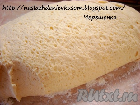 Положить тесто в миску, смазанную оливковым маслом, затянуть пленкой и поставить в теплое место на 40-60 минут, так чтобы тесто увеличилось в объеме в 2 раза.
