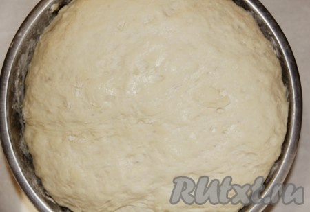 Дрожжи разводим в тёплой воде (температура воды должна быть не выше 40 градусов, иначе дрожжи погибнут) и оставляем на 10 минут. Тем временем нагреваем кефир до комнатной температуры (я подогрела в микроволновке) и заливаем им дрожжи, замоченные в воде. Туда же добавляем мёд, соль и половину муки, перемешиваем. Частями добавляя оставшуюся муку, замешиваем нежное, мягкое, не липнущее к рукам тесто. Вымешиваем тесто руками минут 10-15. Накрываем миску с тестом плёнкой (или полотенцем) и оставляем на 1-1,5 часа (тесто должно увеличиться в объёме раза в 2).